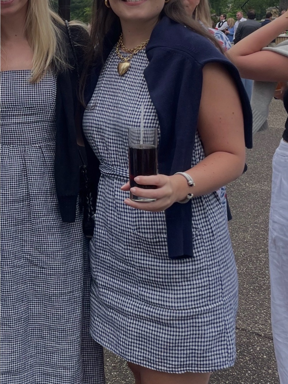 Reformation Classic Navy and White Gingham Sheath Dress